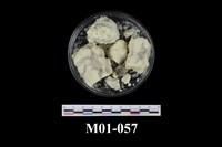 藏品(硫磺)的圖片